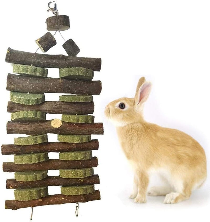 kathson Rabbit Bunny Chew Toys for Teeth, Natural Apple Wood Guinea Pigs Hanging Treats Chinchilla Treats Sticks for Rabbit Hamsters Bunny Chinchilla Squirrels and Gerbils - Image 1